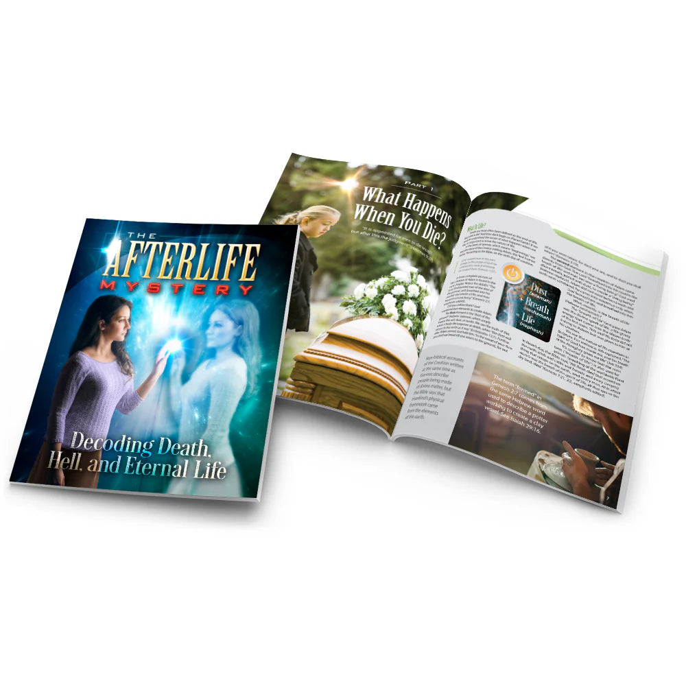 The Afterlife Mystery - English language